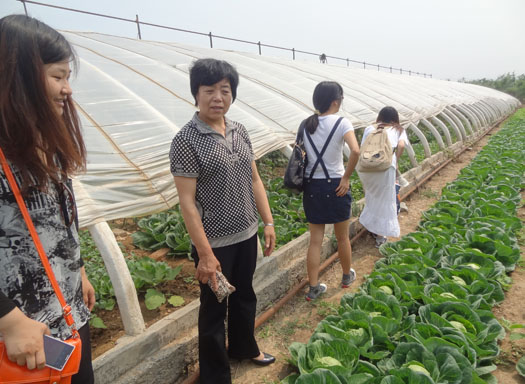 参观种植基地