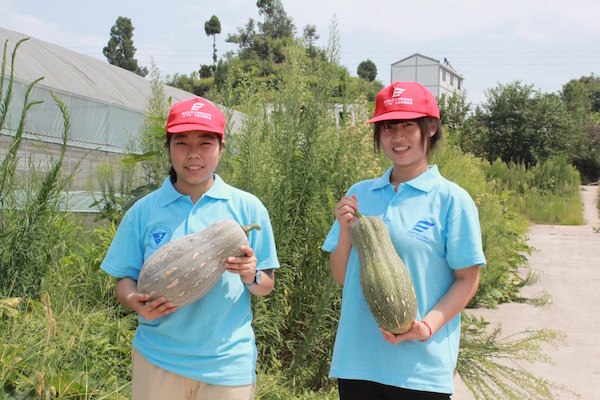 心情随记：我们的蔬菜之旅