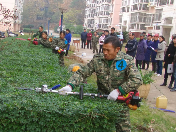 绿篱机比赛现场